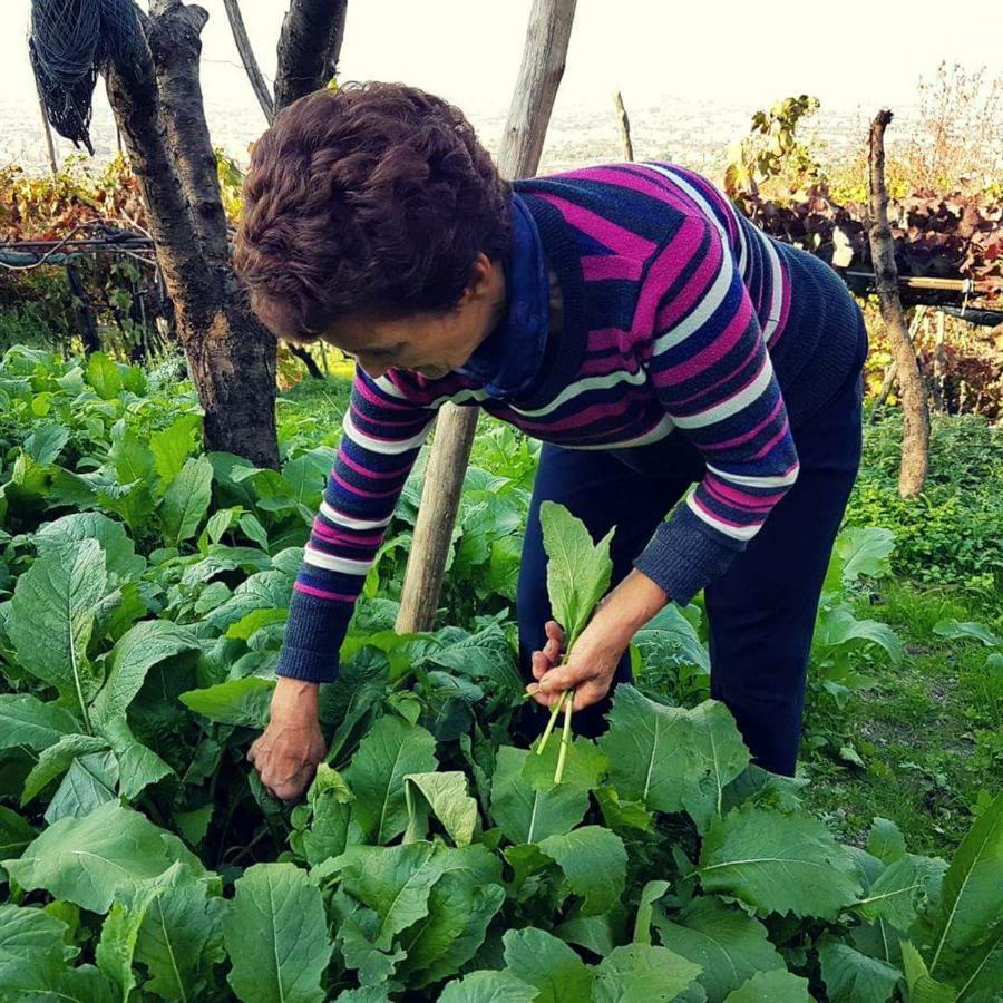 Corbara  Agriturismo A Do' Cumparone B&B 외부 사진